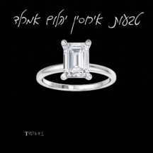 https://goldiam.co.il/en/sites/default/files/_T10795GIF%20.gif